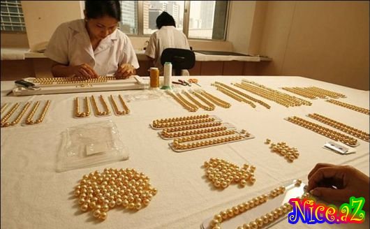 Mirvarinin hazırlanması Mirvarinin hazırlanması