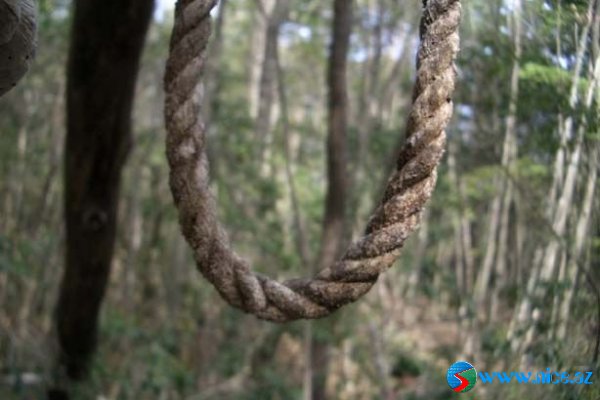 Ölülər meşəsi (Aokigahara) Ölülər meşəsi (Aokigahara)