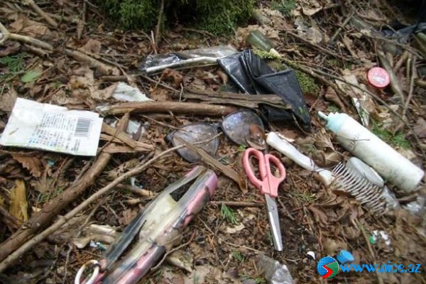 Ölülər meşəsi (Aokigahara) Ölülər meşəsi (Aokigahara)