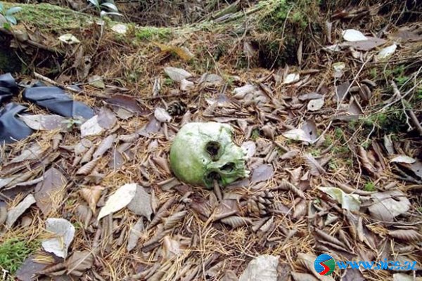 Ölülər meşəsi (Aokigahara) Ölülər meşəsi (Aokigahara)