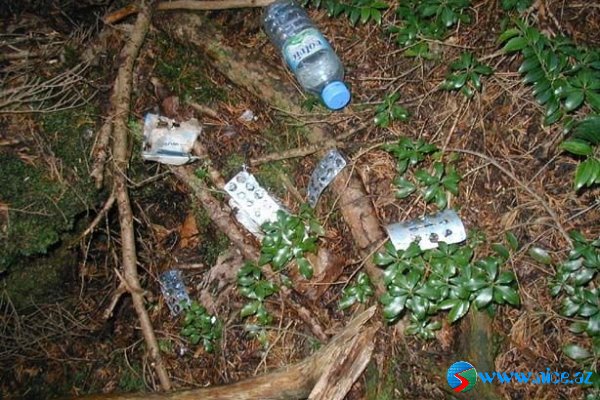 Ölülər meşəsi (Aokigahara) Ölülər meşəsi (Aokigahara)