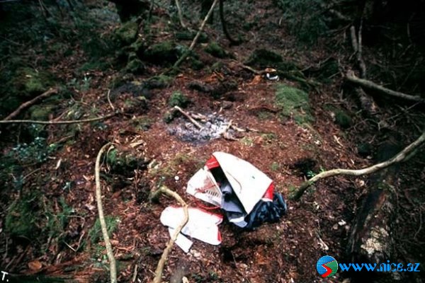 Ölülər meşəsi (Aokigahara) Ölülər meşəsi (Aokigahara)