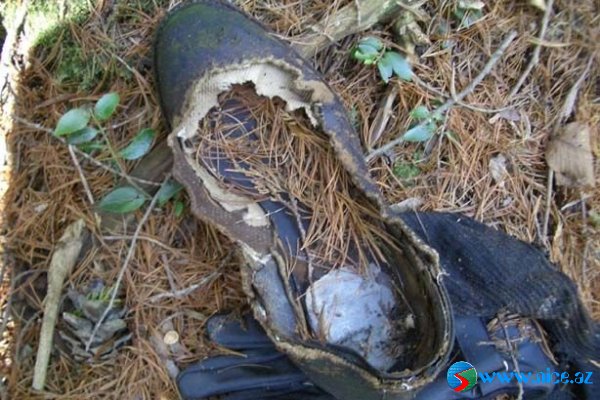 Ölülər meşəsi (Aokigahara) Ölülər meşəsi (Aokigahara)