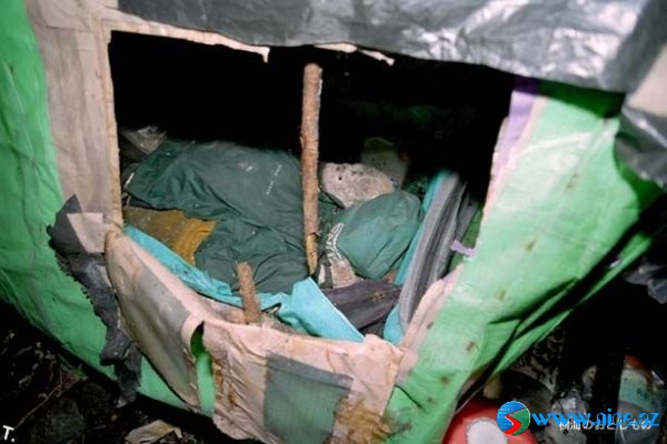 Ölülər meşəsi (Aokigahara) Ölülər meşəsi (Aokigahara)