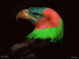 Azerbaycan Avatar Azerbaycan Avatar