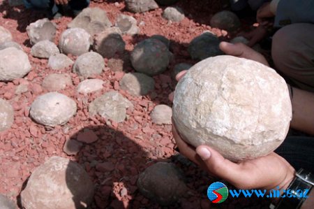 Yüzlərlə dinozavr yumurtası aşkarlanıb!