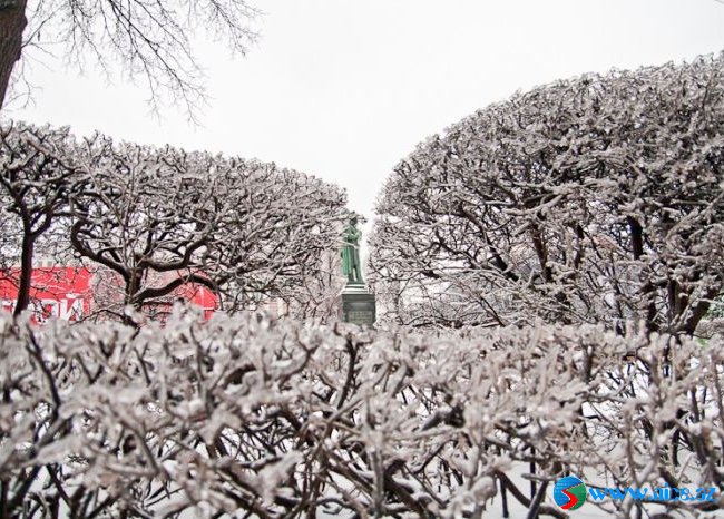 Buz bağlamış Moskva [FOTO]