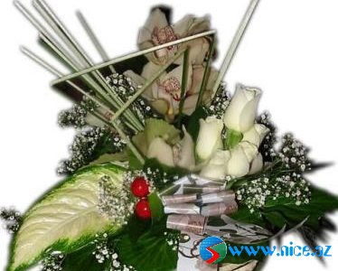 Bu gülləri bütün dostlarıma hədiyyə edirəm.