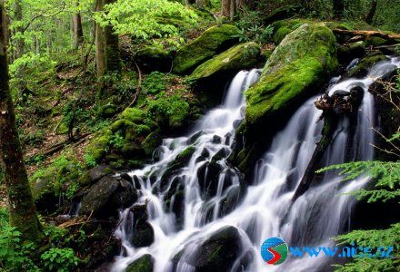 Şəlalələr {14 foto}