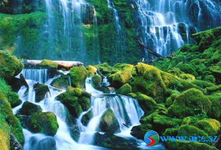Şəlalələr {14 foto}