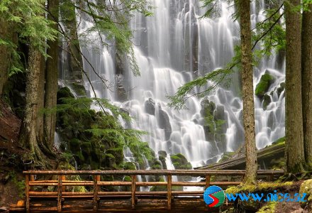 Şəlalələr {14 foto}
